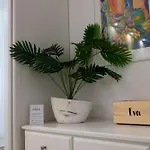 Il Peccato Originale Matera